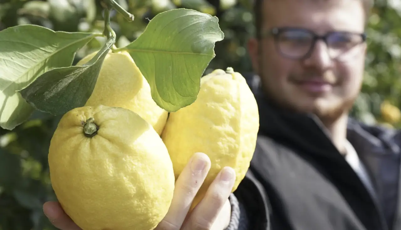 SC - limone bicarbonato